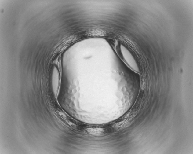 X0000086990552200705141743
