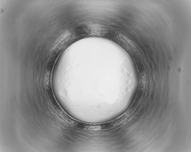 X0000086990554200705141743