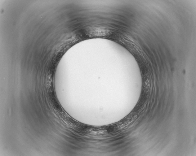 X0000086990555200705141743