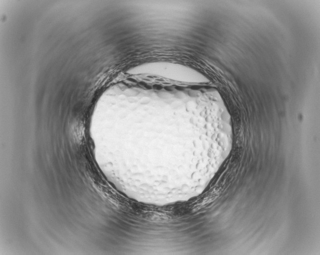 X0000086990560200705141744
