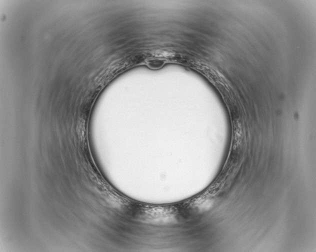 X0000086990565200705141744