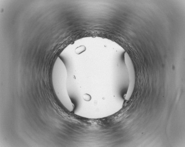 X0000086990566200705141744