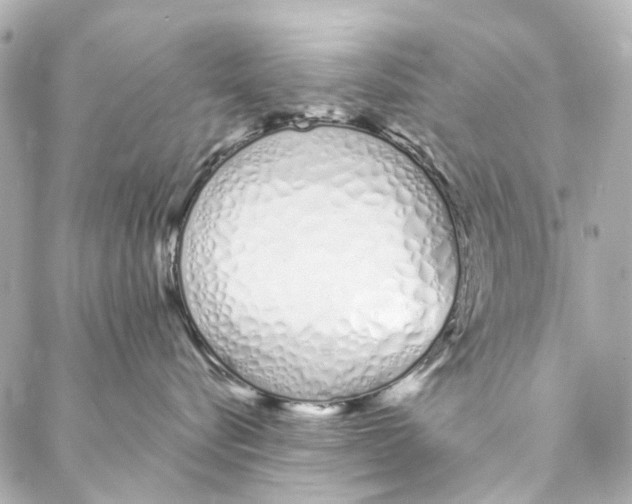 X0000086990576200705141744