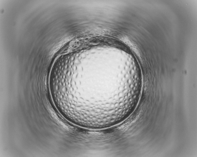 X0000086990581200705141743