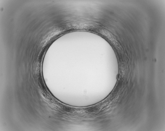 X0000086990583200705141743