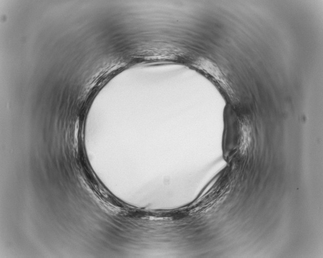X0000086990590200705141743