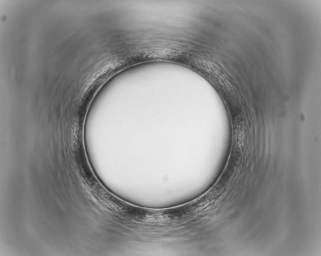 X0000086990591200705141743
