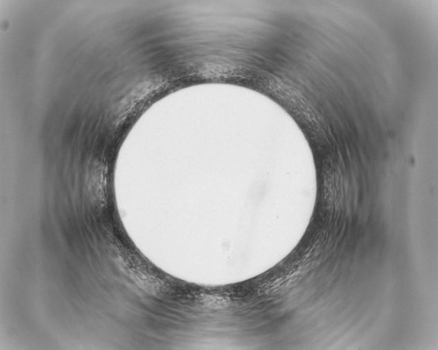 X0000086990592200705141743