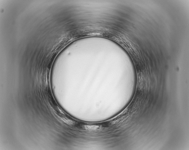 X0000086990598200705141743