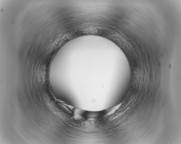 X0000086990600200705141743