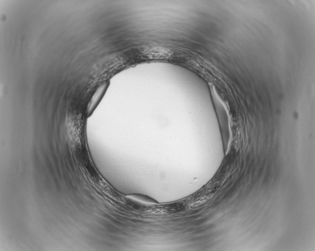 X0000086990604200705141743