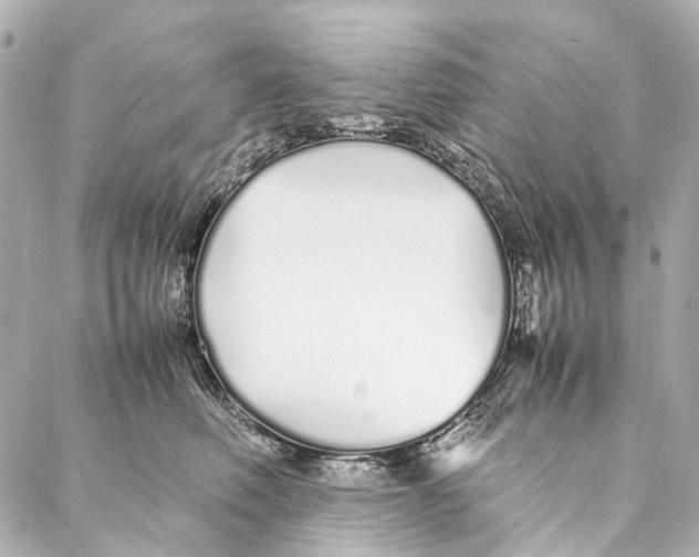 X0000086990614200705141742