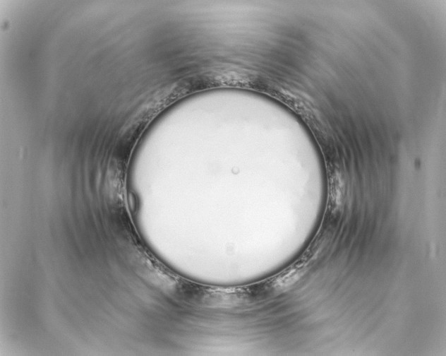 X0000086990622200705141742
