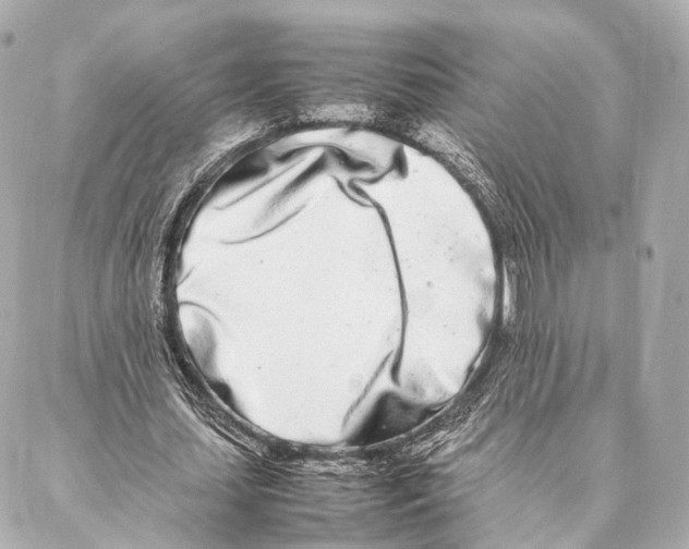 X0000086990627200705141742
