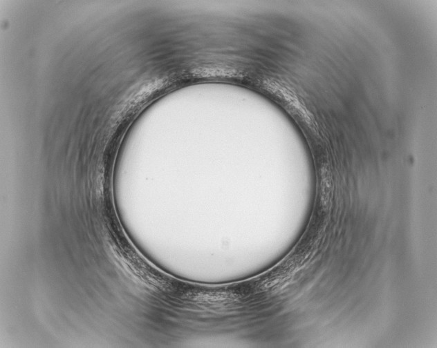 X0000086990631200705141742