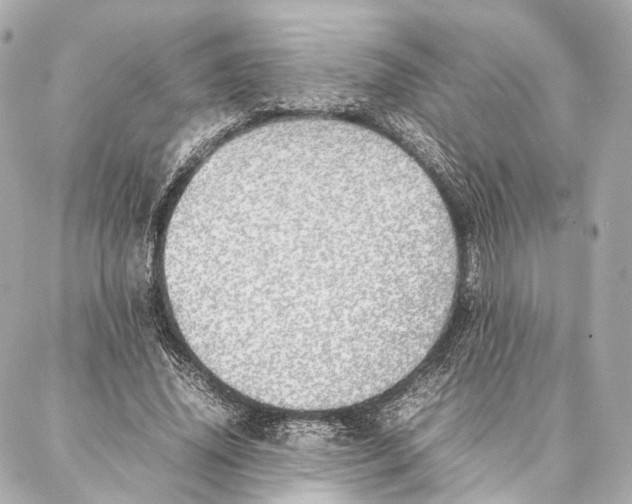 X0000086990636200705141742