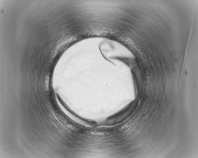 X0000086990640200705141742
