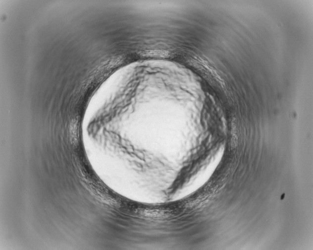 X0000086990641200705141742