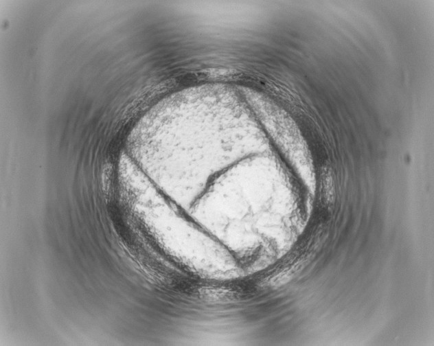 X0000086990650200705141742