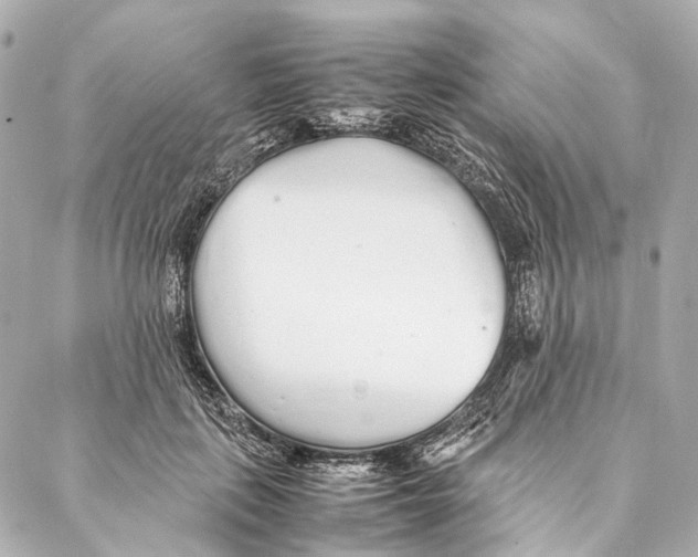 X0000086990651200705141742