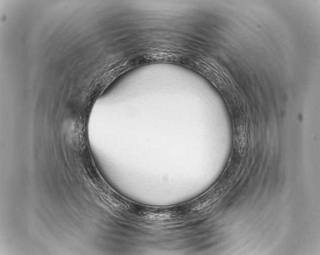 X0000086990653200705141742