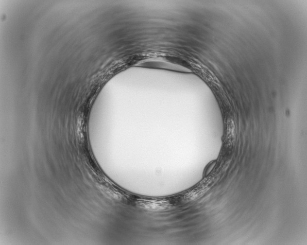 X0000086990663200705141742