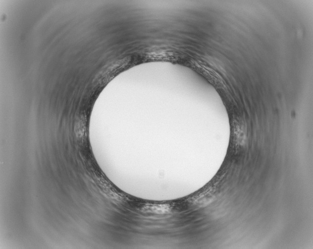 X0000086990665200705141742