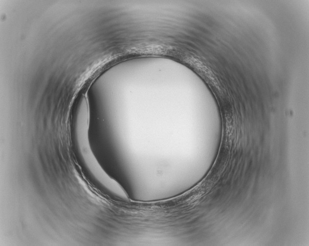 X0000086990674200705141741