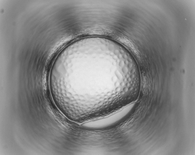 X0000086990680200705141741