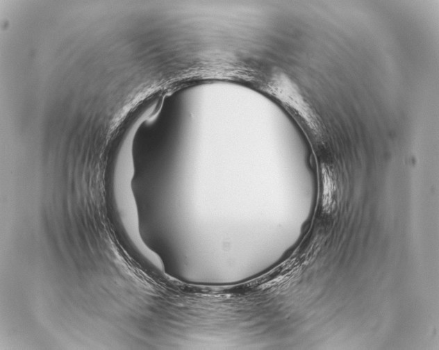 X0000086990684200705141741