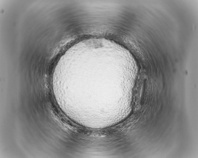 X0000086990688200705141741