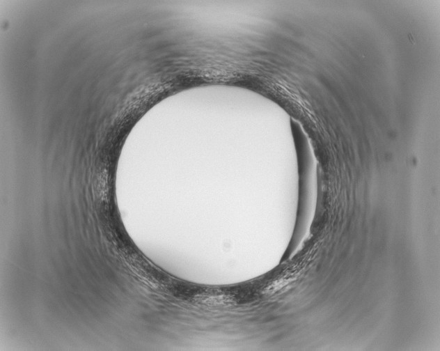 X0000086990689200705141741