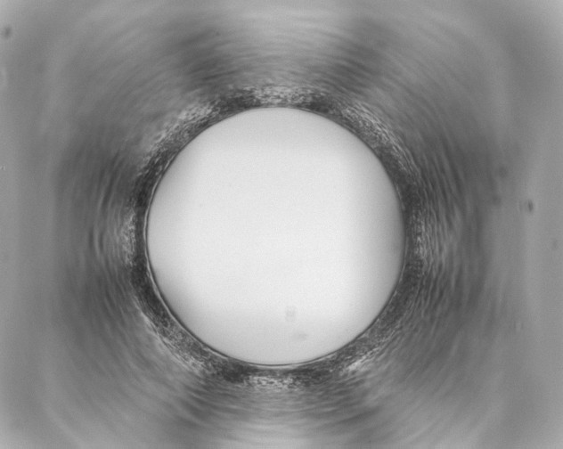 X0000086990690200705141741