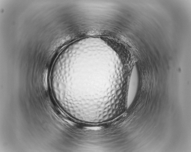 X0000086990692200705141741