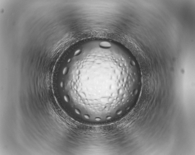 X0000086990696200705141741