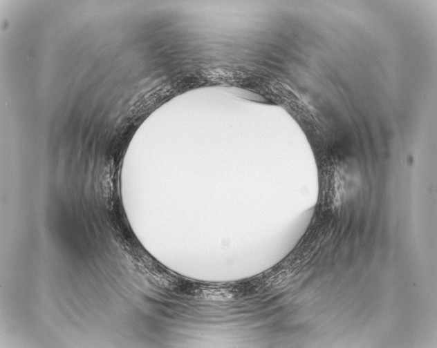 X0000086990702200705141741