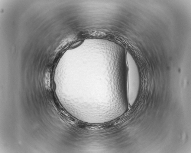 X0000086990704200705141741
