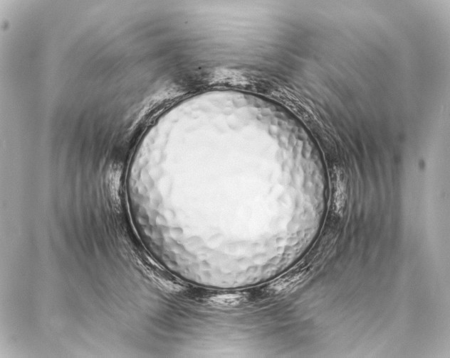 X0000086990708200705141741