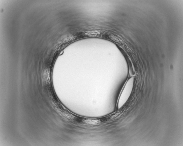 X0000086990711200705141741