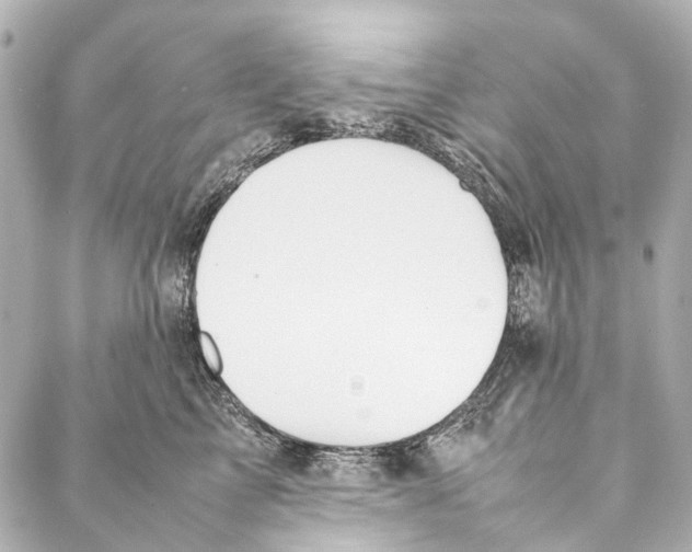 X0000086990713200705141741