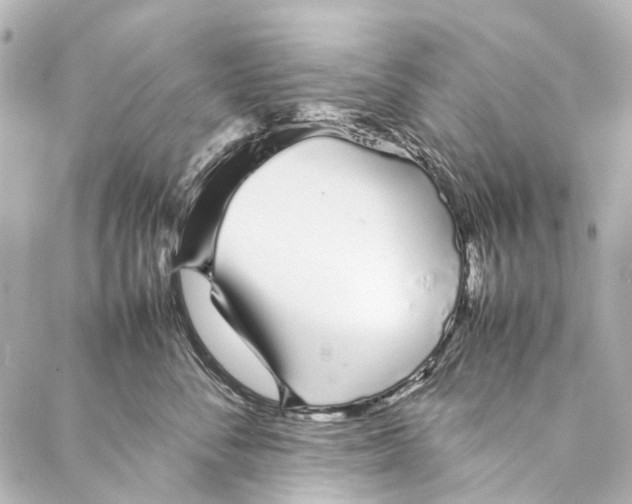 X0000086990716200705141741