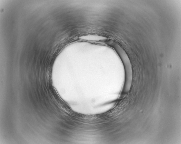 X0000086990720200705141741
