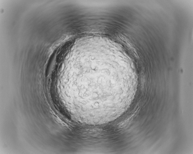 X0000086990721200705141740