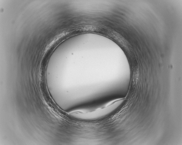 X0000086990722200705141740