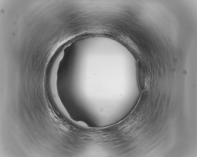 X0000086990724200705141740