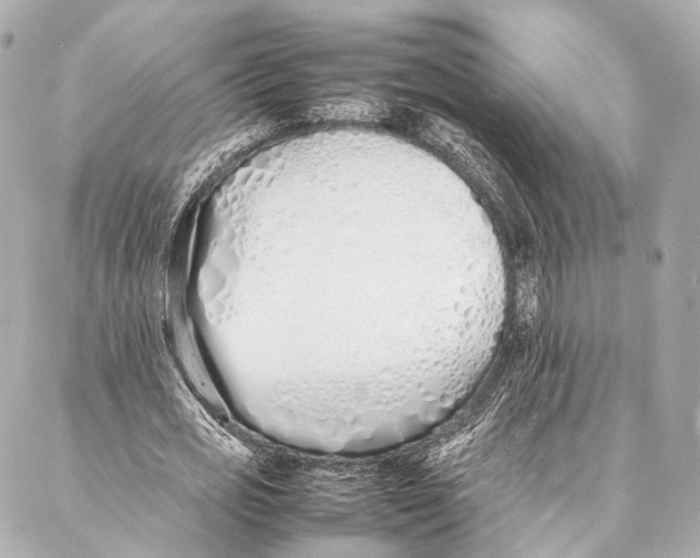 X0000086990725200705141740