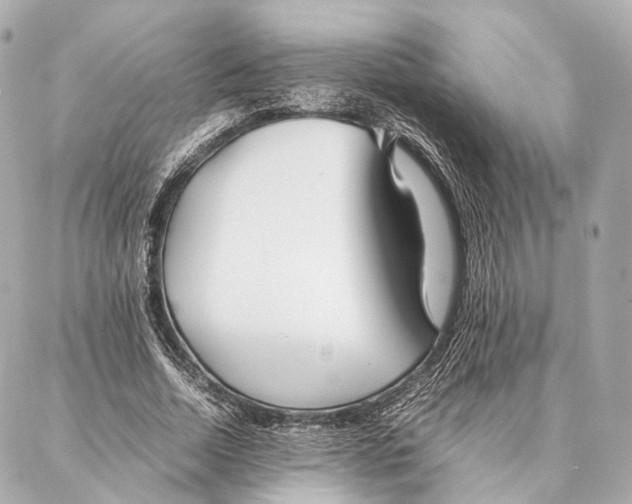 X0000086990730200705141740
