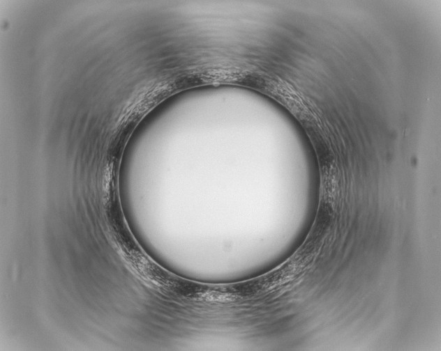 X0000086990742200705141740
