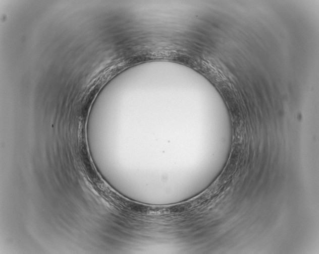 X0000086990744200705141740