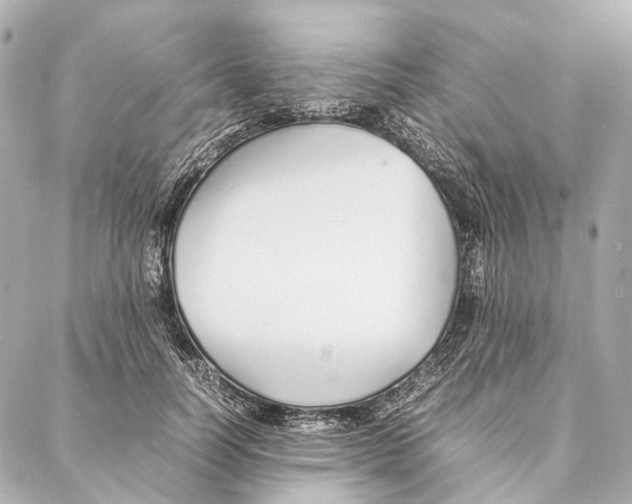X0000086990746200705141740